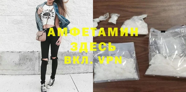 винт Алзамай