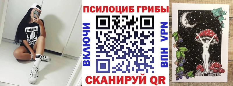 продажа наркотиков  Керчь  Галлюциногенные грибы Cubensis 