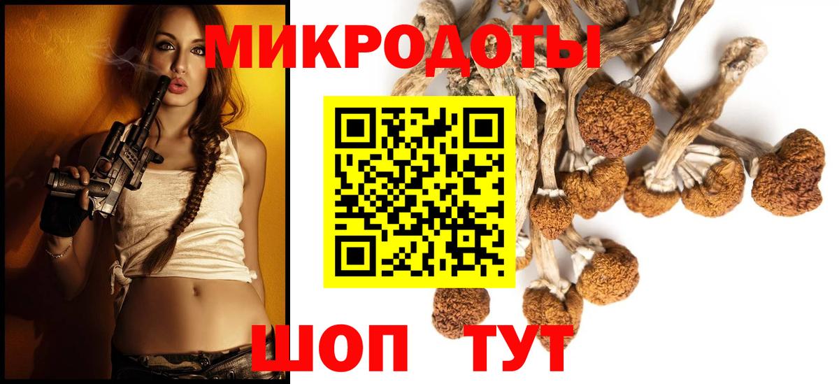Галлюциногенные грибы GOLDEN TEACHER  Галлюциногенные грибы мицелий  Керчь  где можно купить   Вход с VPN 