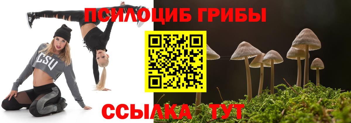 Псилоцибиновые грибы мухоморы Керчь